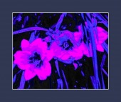 contin preparations image healthtips images